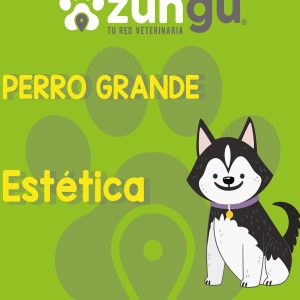 Estética para perro grande