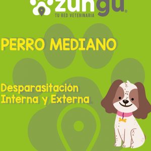 Desparasitación interna y exter de perro mediano